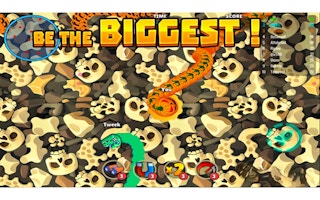 Image Angry Snake