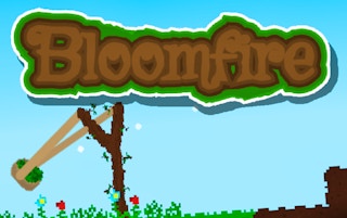 Image BloomFire