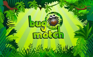 Image Bug Match
