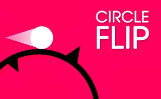 Image Circle Flip