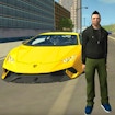 Grand City Car Thief