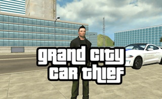 Image Grand City Car Thief