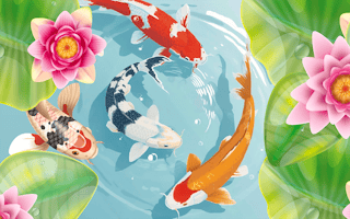 Image Idle Koi Pond