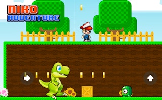 Image Niko Adventure
